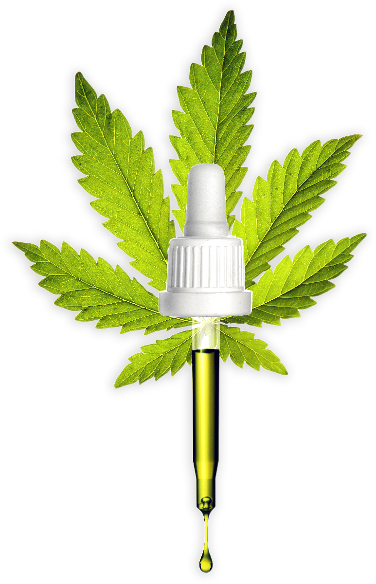 Quality CBD Products from a Company You Can Trust